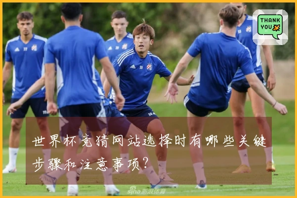 世界杯竞猜网站选择时有哪些关键步骤和注意事项？