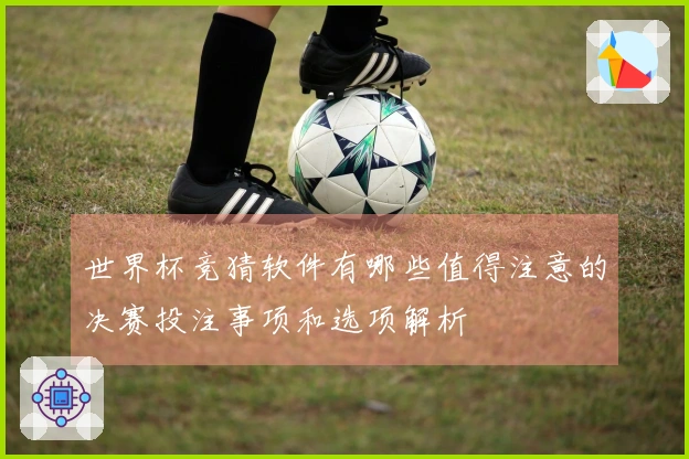 世界杯竞猜软件有哪些值得注意的决赛投注事项和选项解析