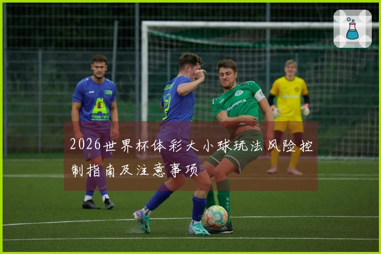 2026世界杯体彩大小球玩法风险控制指南及注意事项